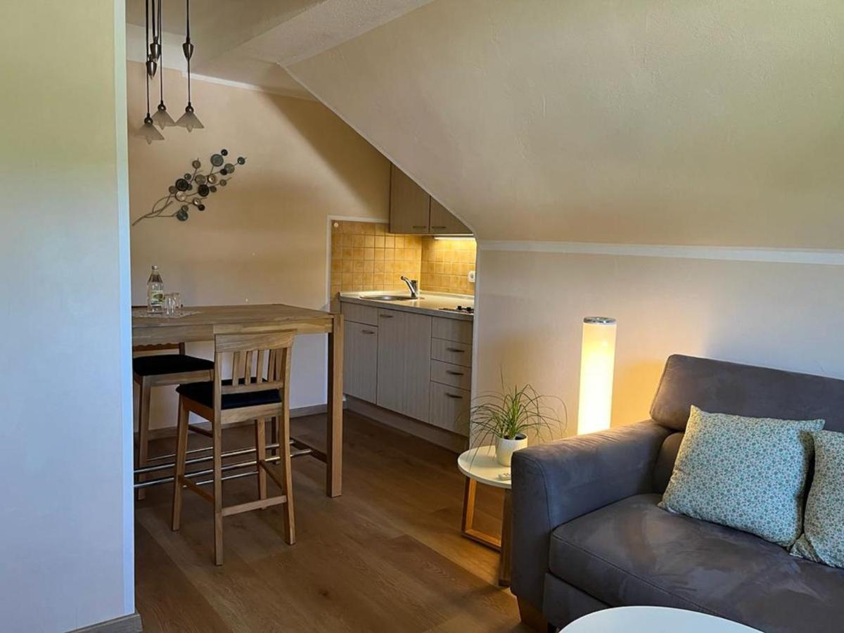 ווינטרברג Haus Schmitten מראה חיצוני תמונה